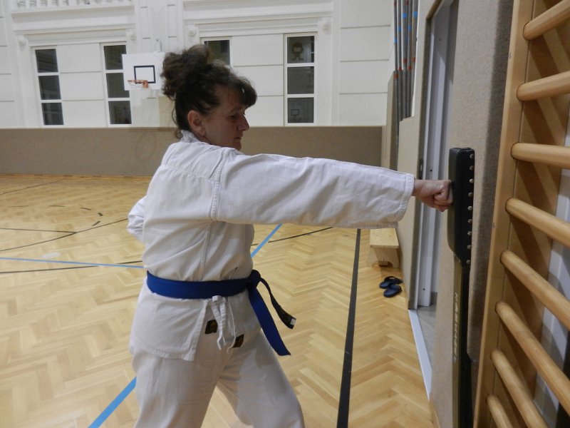 Dojo 2012-25